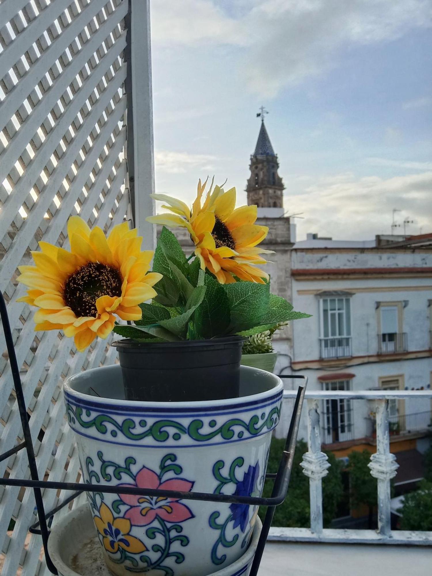 Top Atico Estudio Plaza Del Arenal - Terraza Con Vistas Херес де ла Фронтера Екстериор снимка